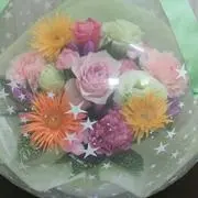 Hannaの画像