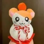 アイの画像