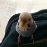 り◎ま