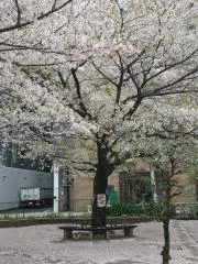 haaakuuu