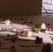 hinaku ヒナクウ ぬいぐるみ マスコット うさぎ 韓国 作家 - メルカリ