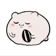 もみの木の画像