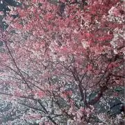 sora_11_01_