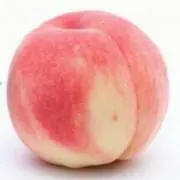 ももの画像