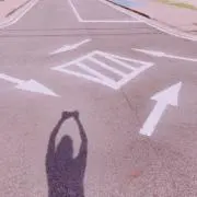 シロミの画像