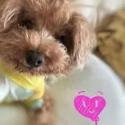 えび