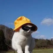 Bellaの画像