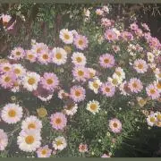 men☆の画像