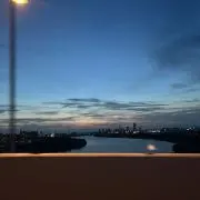 吹替の画像