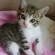 りんりん　☆プロフ必読お願い☆の画像