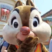 あんこ