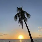 MMの画像