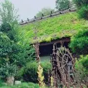 Rxxx.の画像