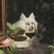 わっかー