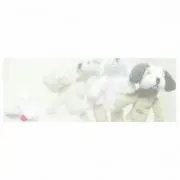 とことこ
