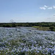 やみだよ。の画像