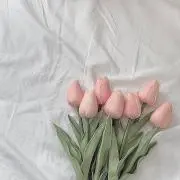 ぴのの画像