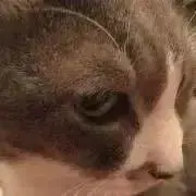 GOEMONの画像