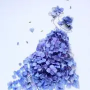 みーの画像