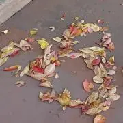 ぷにたの画像