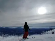 Muraの画像