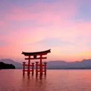 runSATO_168の画像