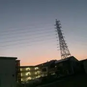 todaの画像