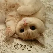 リクmamaの画像