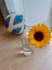 pirlo30の画像