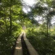 やま★即購入OK★の画像