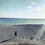 うににんの画像