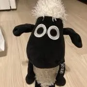 ぱや