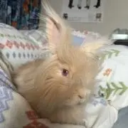 Ｎの画像