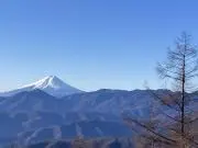 みー（プロフ確認）の画像