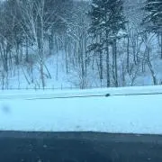 いの画像