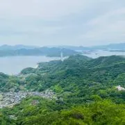 ヨーコの画像