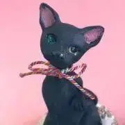るかねこやまとの画像