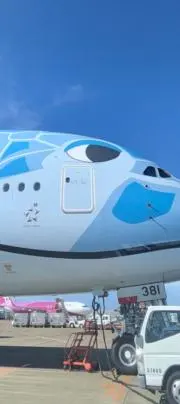 あの画像
