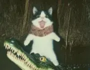 あああああの画像
