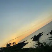 Massiの画像