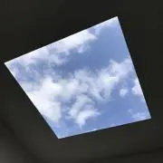 ウィリアムの画像