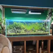 化猫ヤマトの宅急便