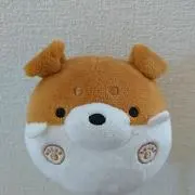 wankoの画像