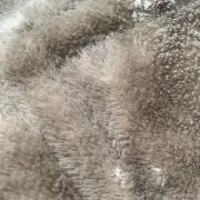 nommoの画像