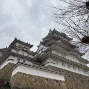 タマネギの画像