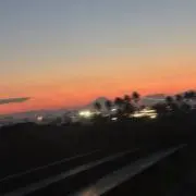 こーたの画像