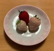 cocoa