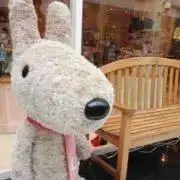 coco☆の画像