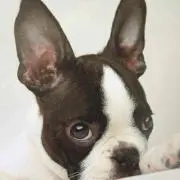 Ｕ 発送停止中。