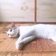 あいちゃん★の画像